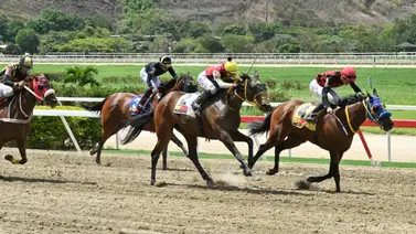 Ciclo no válido: El percance detrás de la inesperada derrota de la "fija" Ciclo no válido: El percance detrás de la inesperada derrota de la "fija"