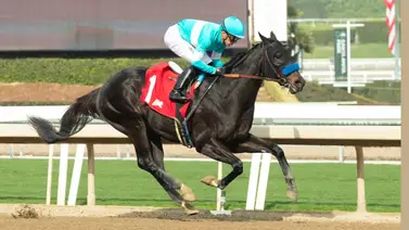 Confirmados los primeros ejemplares para el Preakness Stakes 150 Confirmados los primeros ejemplares para el Preakness Stakes 150