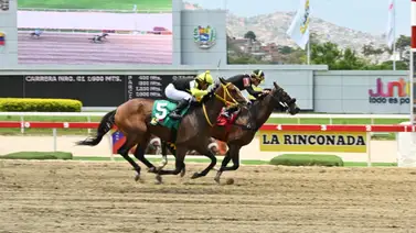 Clásico Asamblea Nacional (GII): La local Sugar Cane reta a la importada Fleet Street en la arena de Coche Clásico Asamblea Nacional (GII): La local Sugar Cane reta a la importada Fleet Street en la arena de Coche