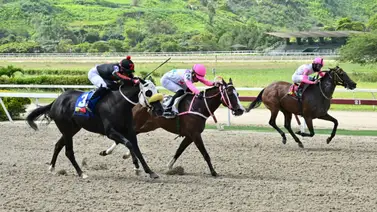 ¡Reaparece tras 168 días! ¿Será esta yegua el batacazo de la semana en La Rinconada? ¡Reaparece tras 168 días! ¿Será esta yegua el batacazo de la semana en La Rinconada?