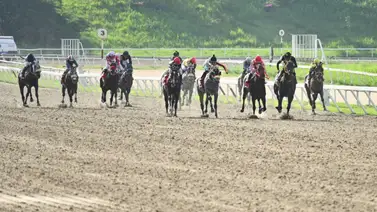 "Hypocrite": Un escenario para la batalla de los sementales y sus crías en La Rinconada "Hypocrite": Un escenario para la batalla de los sementales y sus crías en La Rinconada