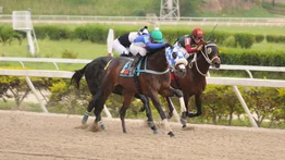 ¡Reaparición impactante! Hijo de ganador de Gulfstream Park vuelve a la pista en La Rinconada