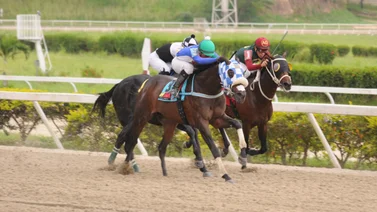 ¡Reaparición impactante! Hijo de ganador de Gulfstream Park vuelve a la pista en La Rinconada