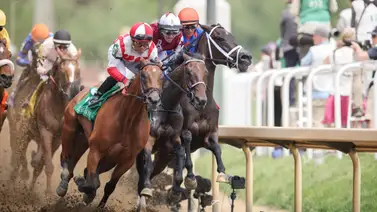 Así salió Thorpedo Anna de los exámenes después de su fracaso en el La Troienne Stakes Así salió Thorpedo Anna de los exámenes después de su fracaso en el La Troienne Stakes