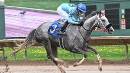 Christopher Elliott consigue el primer doblete de su carrera en este hipódromo 