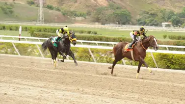 La calidad siempre vuelve: Ejemplar superior en la mira de la R17 de La Rinconada La calidad siempre vuelve: Ejemplar superior en la mira de la R17 de La Rinconada