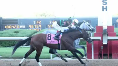 Ganador del Derby perdió en un final épico a nariz con la monta de este jinete zuliano Ganador del Derby perdió en un final épico a nariz con la monta de este jinete zuliano