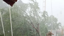 Inundaciones en Acarigua y Araure: Fuertes lluvias causan estragos