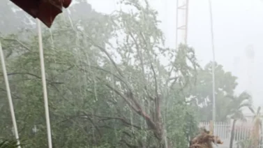 Inundaciones en Acarigua y Araure: Fuertes lluvias causan estragos