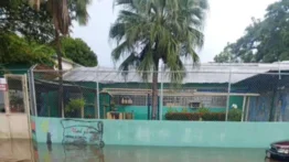 Inundaciones en Cojedes: Fuertes lluvias causan pérdidas y desplomes de inmuebles