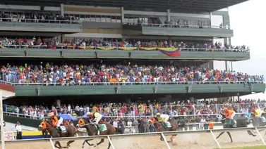 Se presenta el primer retirado para el sábado en el hipódromo de Valencia Se presenta el primer retirado para el sábado en el hipódromo de Valencia