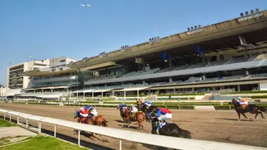 El hipódromo de Las Américas se prepara para su triplecorona mejicana El hipódromo de Las Américas se prepara para su triplecorona mejicana