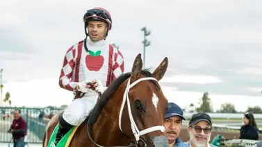 Si no sabes cuantos favoritos han llegado segundo en el Derby nosotros te lo decimos Si no sabes cuantos favoritos han llegado segundo en el Derby nosotros te lo decimos