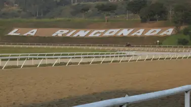 Debut y sueño en La Rinconada: La presentación del joven entrenador en la reunión 17 (+Video) Debut y sueño en La Rinconada: La presentación del joven entrenador en la reunión 17 (+Video)