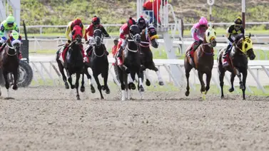 Todo lo que debes saber sobre el ajuste clave de la línea de Gaceta Hípica para buscar victoria en el 5y6 de la R17 Todo lo que debes saber sobre el ajuste clave de la línea de Gaceta Hípica para buscar victoria en el 5y6 de la R17