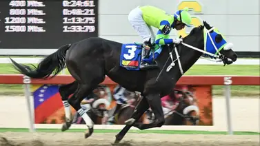 Descubre el ajuste extraordinario de la sorpresa de Gaceta Hípica previo a su participación para el Clásico Hypocrite Descubre el ajuste extraordinario de la sorpresa de Gaceta Hípica previo a su participación para el Clásico Hypocrite