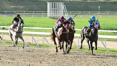 La Rinconada lo tiene claro: El ajuste de este ejemplar simplifica y potencia su 5y6 La Rinconada lo tiene claro: El ajuste de este ejemplar simplifica y potencia su 5y6