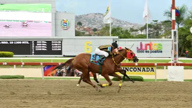 ¿Tambalea la Fija? Yegua con ajuste contenido lista para la sorpresa en las no válidas ¿Tambalea la Fija? Yegua con ajuste contenido lista para la sorpresa en las no válidas