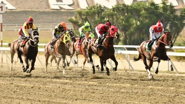 Al momento de sellar no dejen por fuera a las dos yeguas de este entrenador debutante que son esenciales para el 5y6 dominical (+Video)