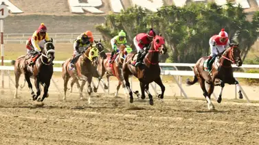 Al momento de sellar no dejen por fuera a las dos yeguas de este entrenador debutante que son esenciales para el 5y6 dominical (+Video) Al momento de sellar no dejen por fuera a las dos yeguas de este entrenador debutante que son esenciales para el 5y6 dominical (+Video)