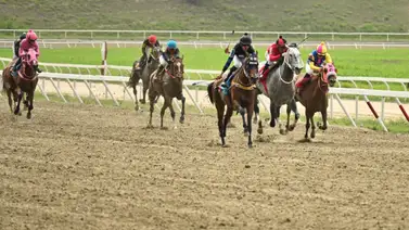¿Qué oculta este puesto de pista? Descúbrelo en la tercera válida del 5y6 ¿Qué oculta este puesto de pista? Descúbrelo en la tercera válida del 5y6