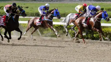 El estreno de este entrenador se lanza con dos ejemplares que son claves para conquistar la R17 en La Rinconada (+Entrevista) El estreno de este entrenador se lanza con dos ejemplares que son claves para conquistar la R17 en La Rinconada (+Entrevista)