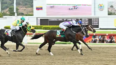 El video del domingo: ¿Podrá este ejemplar con problemas en sus más recientes dar la sorpresa en el 5y6 de la R17? El video del domingo: ¿Podrá este ejemplar con problemas en sus más recientes dar la sorpresa en el 5y6 de la R17?