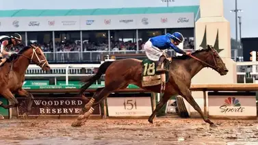 Sovereignty ganador del Kentucky Derby llegó a Nueva York Sovereignty ganador del Kentucky Derby llegó a Nueva York