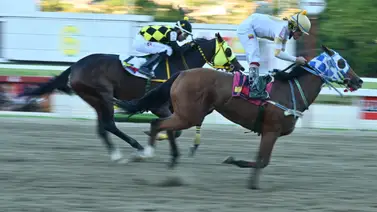 Presta mucha atención: Esta yegua logró uno de los mejores ajustes para retar a la línea nacional en el 5y6 Presta mucha atención: Esta yegua logró uno de los mejores ajustes para retar a la línea nacional en el 5y6