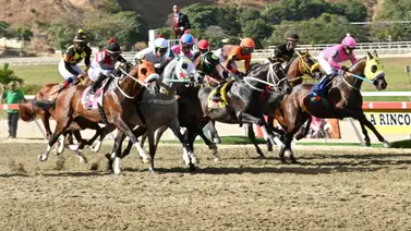 El Talento Heredado: Nieto del Triplecoronado Taconeo logra el mejor remate y buscará la gloria en la R17 El Talento Heredado: Nieto del Triplecoronado Taconeo logra el mejor remate y buscará la gloria en la R17