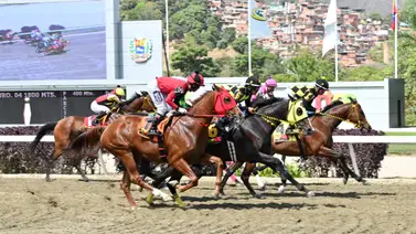 Una posible sorpresa se puede generar en el 5y6 con este dato más corrido y que todos desean saber a esta hora Una posible sorpresa se puede generar en el 5y6 con este dato más corrido y que todos desean saber a esta hora