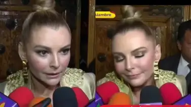 Marjorie de Sousa molesta con reporteros mexicanos: "No voy a hablar de eso" Marjorie de Sousa molesta con reporteros mexicanos: "No voy a hablar de eso"