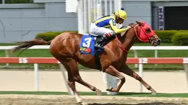Aumenta la expectativa: El Relámpago se destacó con uno de los mejores ajustes y está listo para dejar huella en el Clásico Hypocrite (G2) Aumenta la expectativa: El Relámpago se destacó con uno de los mejores ajustes y está listo para dejar huella en el Clásico Hypocrite (G2)