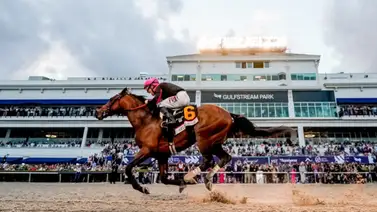 Datos de última hora para el Picks 5 costa a costa entre Gulfstream Park y Santa Anita Park 9-5-2025 Datos de última hora para el Picks 5 costa a costa entre Gulfstream Park y Santa Anita Park 9-5-2025