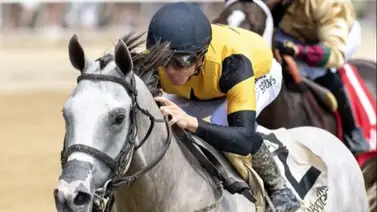 Hijo de Tapit que costó $1.2 millones va por el desquite en el Belmont Park Hijo de Tapit que costó $1.2 millones va por el desquite en el Belmont Park