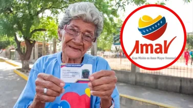 Pensionados 100% Amor Mayor
