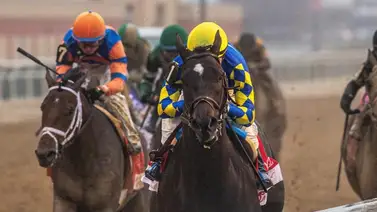 Rodríguez se baja del Preakness por esta lesión Rodríguez se baja del Preakness por esta lesión