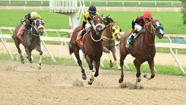 La revelación que esperabas: Este es el ejemplar que se destaca como el “dato de los vivitos” para el 5y6 dominical La revelación que esperabas: Este es el ejemplar que se destaca como el “dato de los vivitos” para el 5y6 dominical