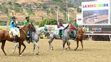 Dividendo a la Vista: La Alternativa diferente a Kara Katerina y Kiss Cocoa en la reunión 17 Dividendo a la Vista: La Alternativa diferente a Kara Katerina y Kiss Cocoa en la reunión 17