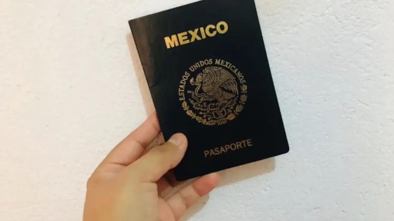 pasaporte mexicano