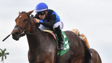 Último minuto: El uso indebido del látigo por Junior Alvarado en el Kentucky Derby casi le cuesta la descalificación de Sovereignty entérate de los detalles Último minuto: El uso indebido del látigo por Junior Alvarado en el Kentucky Derby casi le cuesta la descalificación de Sovereignty entérate de los detalles