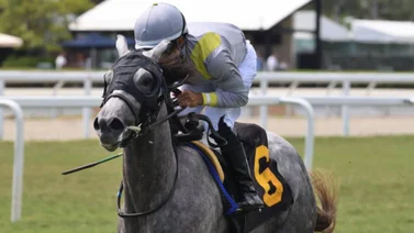 Lennilu brilla en Gulfstream Park y se lleva este Stakes de $100.000
