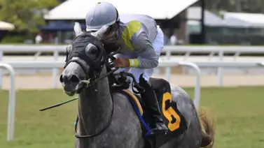 Lennilu brilla en Gulfstream Park y se lleva este Stakes de $100.000 Lennilu brilla en Gulfstream Park y se lleva este Stakes de $100.000