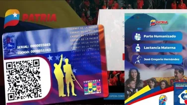Sistema Patria