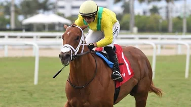 Lucas Panici se lleva el Royal Palm Juvenile Stakes de $100.000 disputado en Gulfstream Park