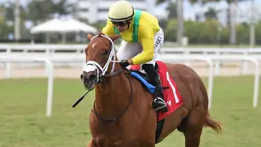Lucas Panici se lleva el Royal Palm Juvenile Stakes de $100.000 disputado en Gulfstream Park Lucas Panici se lleva el Royal Palm Juvenile Stakes de $100.000 disputado en Gulfstream Park