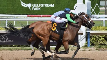 Emisael Jaramillo logra par de victorias en jornada de lujo celebrada en Gulfstream Park