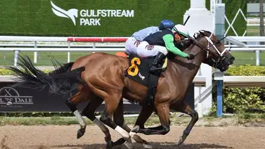 Emisael Jaramillo logra par de victorias en jornada de lujo celebrada en Gulfstream Park Emisael Jaramillo logra par de victorias en jornada de lujo celebrada en Gulfstream Park