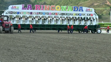  Estos son los retirados de la reunión 17 en La Rinconada 11-05-2025