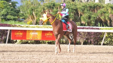 Nace medio hermano materno del doble coronado Time Traveler